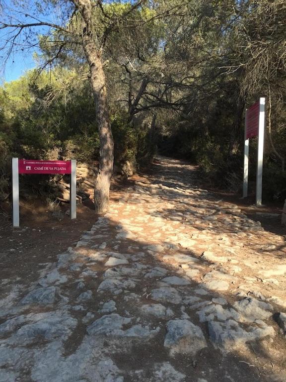 La Mundial Formentera Leilighet Es Pujols Eksteriør bilde